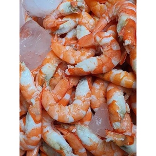 NÕN TÔM BIỂN