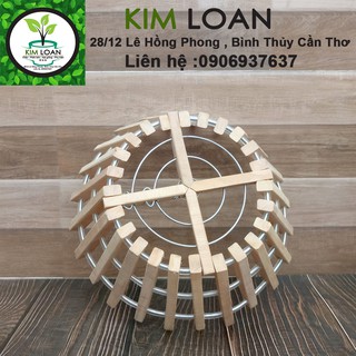 Chậu lan tròn gỗ căm xe 27x13cm