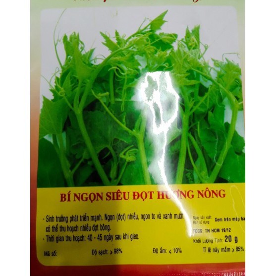 HẠT BÍ NGỌN SIÊU ĐỌT- GÓI 20 GRAM