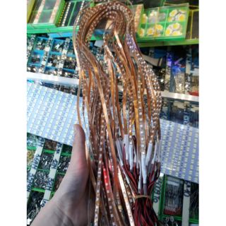 Dây nháy đuổi nhiều màu 1m 12v