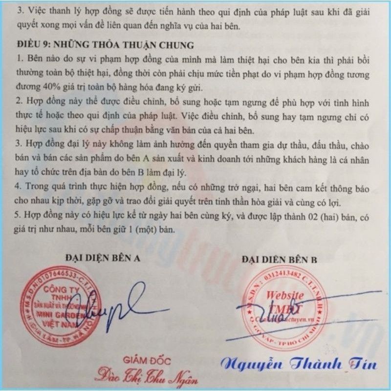 SON ROSES CHÍNH HÃNG MINI GARDEN ( KEM LÌ ) | BigBuy360 - bigbuy360.vn