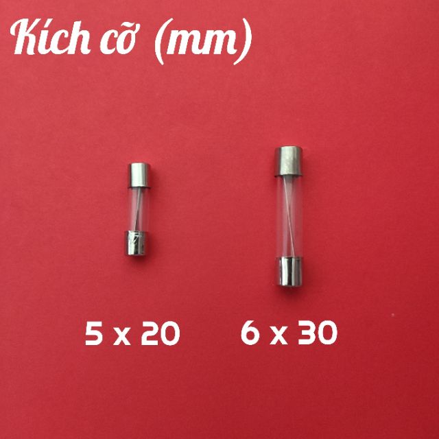 (Combo 2 cái) Cầu chì ống 5x20 &amp; 6 x 30 (mm) 3A - 4A - 5A -7A - 10A - 15A - 20A - 30A
