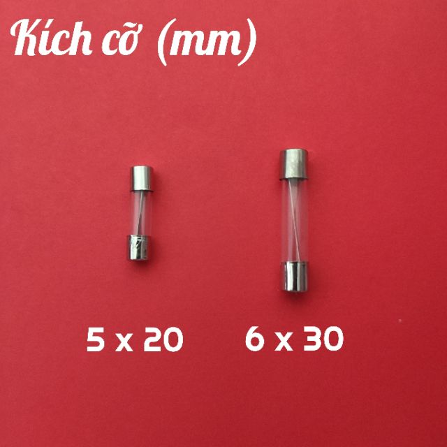 (Combo 2 cái) Cầu chì ống 5x20 & 6 x 30 (mm) 3A - 4A - 5A -7A - 10A - 15A - 20A - 30A