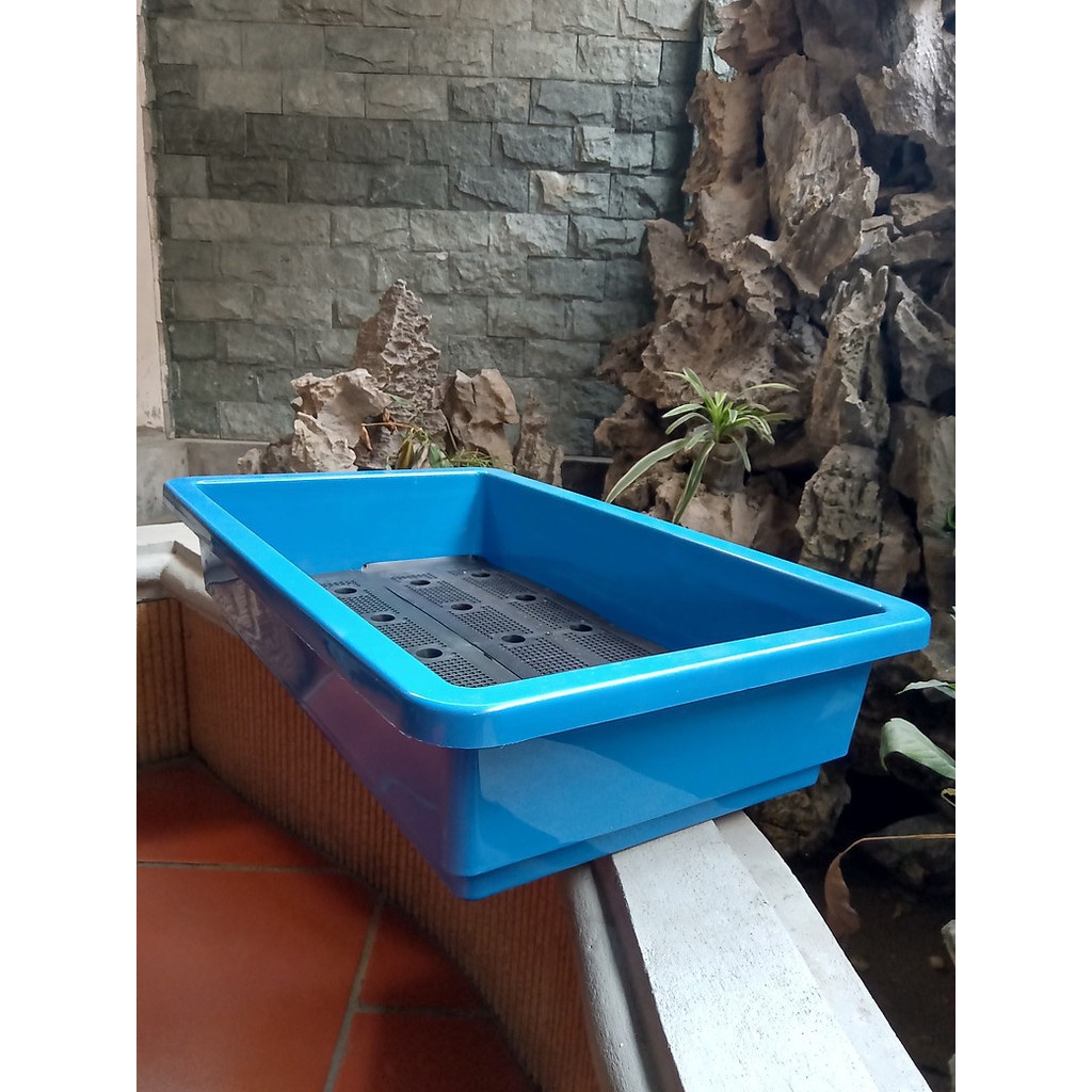 (Ship ngay) (48x34cm) Chậu máng rau thông minh kèm lưới 47- Khay nhựa chữ nhật trồng rau sạch, hoa cảnh 48 tại nhà