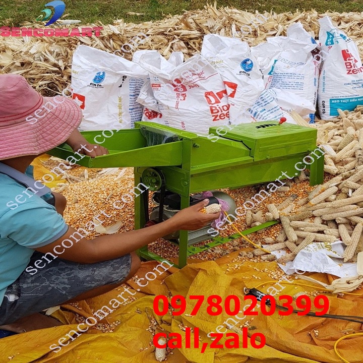 Máy tuốt ngô 1,5kw năng suất 800kg /h