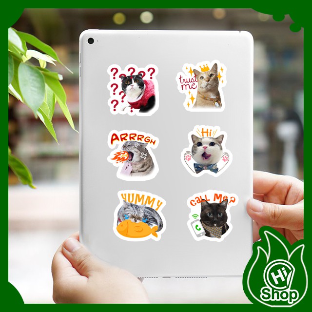 [Bộ 24 Sticker] Hình Dán Sticker Vương Quốc Mèo Tiểu Hổ | Dán Nón Bảo Hiểm, Điện Thoại, Laptop, Bình Nước