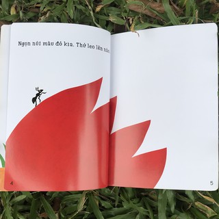 Ehon Accototo (Bộ 4 Cuốn)
