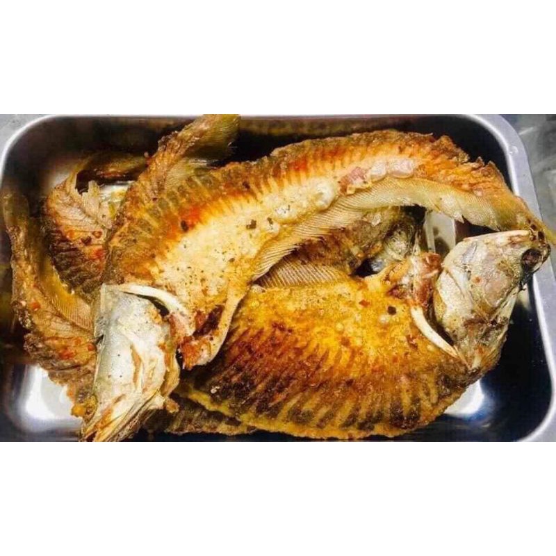 CÁ THÁC LÁC RÚT XƯƠNG 1con.