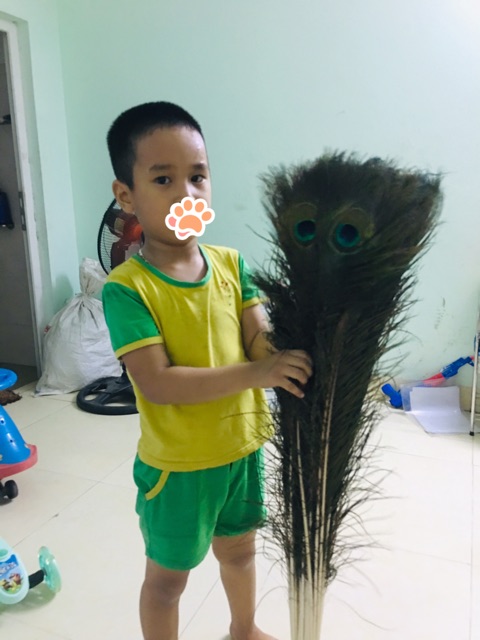 Order hoa công