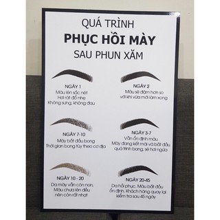 bộ 3 ảnh phục hồi môi mày
