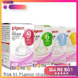 Núm ty thay thế bình Pigeon nội địa Size S/M/L/LL (Hộp 2 chiếc, có tách lẻ)