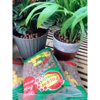Đất sét nung trồng sen đá, túi 1l size M