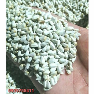500G HẠT KHAM CHO VẸT, GÀ, VỊT, HAMSTER, CHUỘT, BỌ Ú