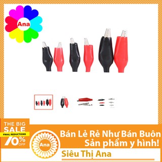 Kẹp Cá Sấu Kẹp Bình Acquy 1 CẶP