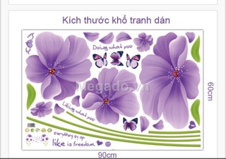 Decal bộ đôi hoa thuỷ tiên tím