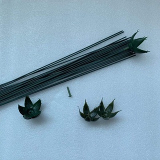 Cành kẽm 1 bó (100cây)