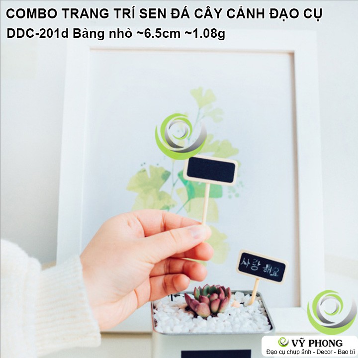 SET COMBO PHỤ KIỆN TRANG TRÍ CHẬU SEN ĐÁ CÂY CẢNH XƯƠNG RỒNG ĐẠO CỤ CHỤP ẢNH SẢN PHẨM INS DDC-201