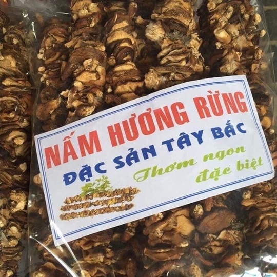 500GR Nấm Hương Rừng Khô Sa Pa Thơm Ngon Chuẩn Vị - Tây Sơn Food