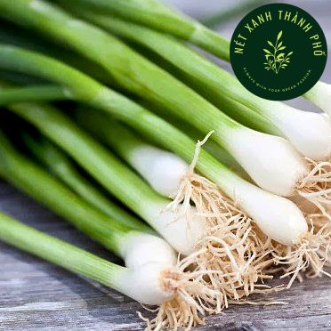 Hạt giống hành hương chịu nhiệt, 2gr
