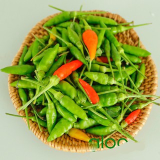 HẠT GIỐNG ỚT XIÊM Phú Nông 0.1gr CHẤT LƯỢNG CAO