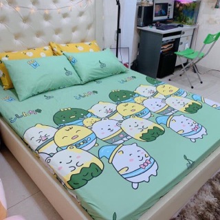 Sét 3 món ga chun cà 2 vỏ gối cottong poly