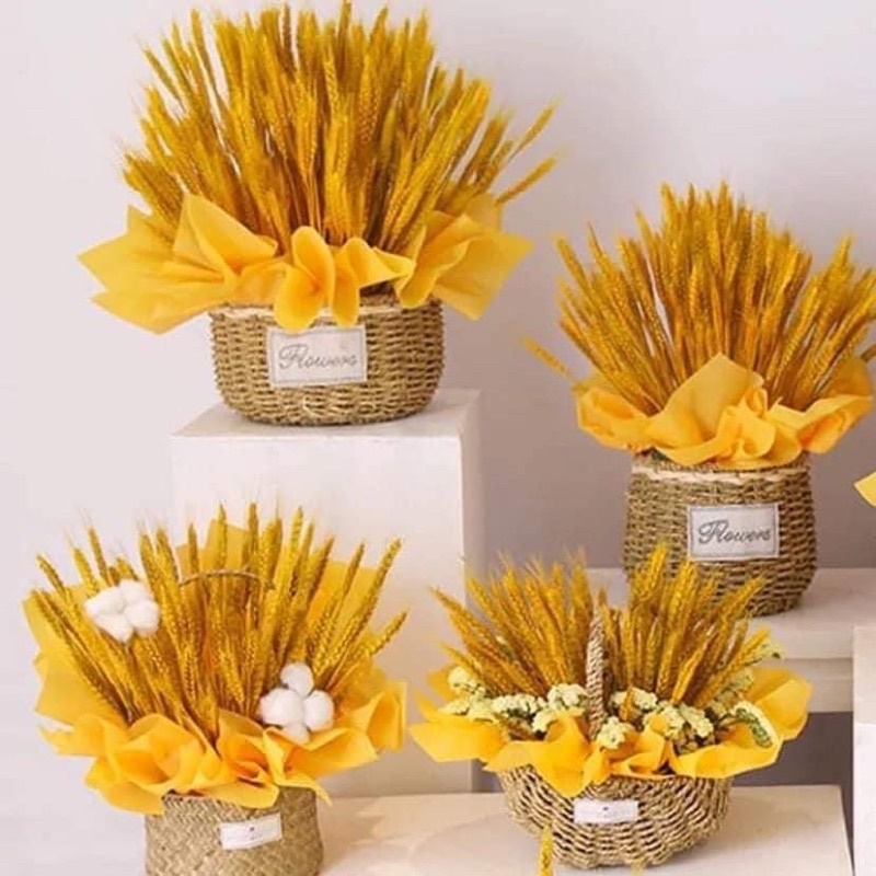Bông lúa mạchCombo 100 Bông lúa mạch khô decor trang trí siêu đẹp
