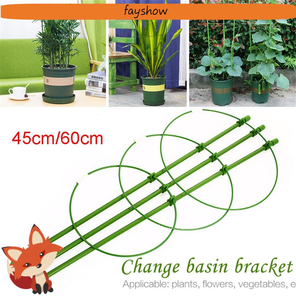 Khung Hỗ Trợ Trồng Cây Dây Leo Hàng Mới Tiện Lợi Dành Cho Vườn Nhà