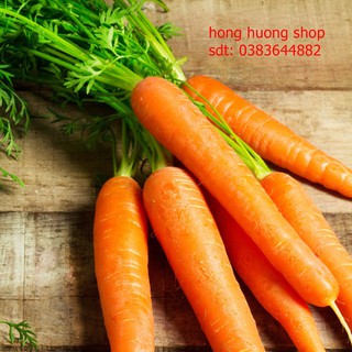 Hạt giống cà rốt