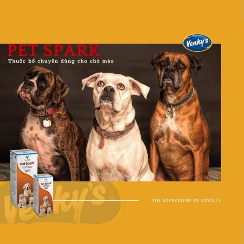 Vitamin tổng hợp Pet Spark bổ sung Vitamin, khoáng chất phù hợp bồi bổ sau bệnh hàng nhập khẩu