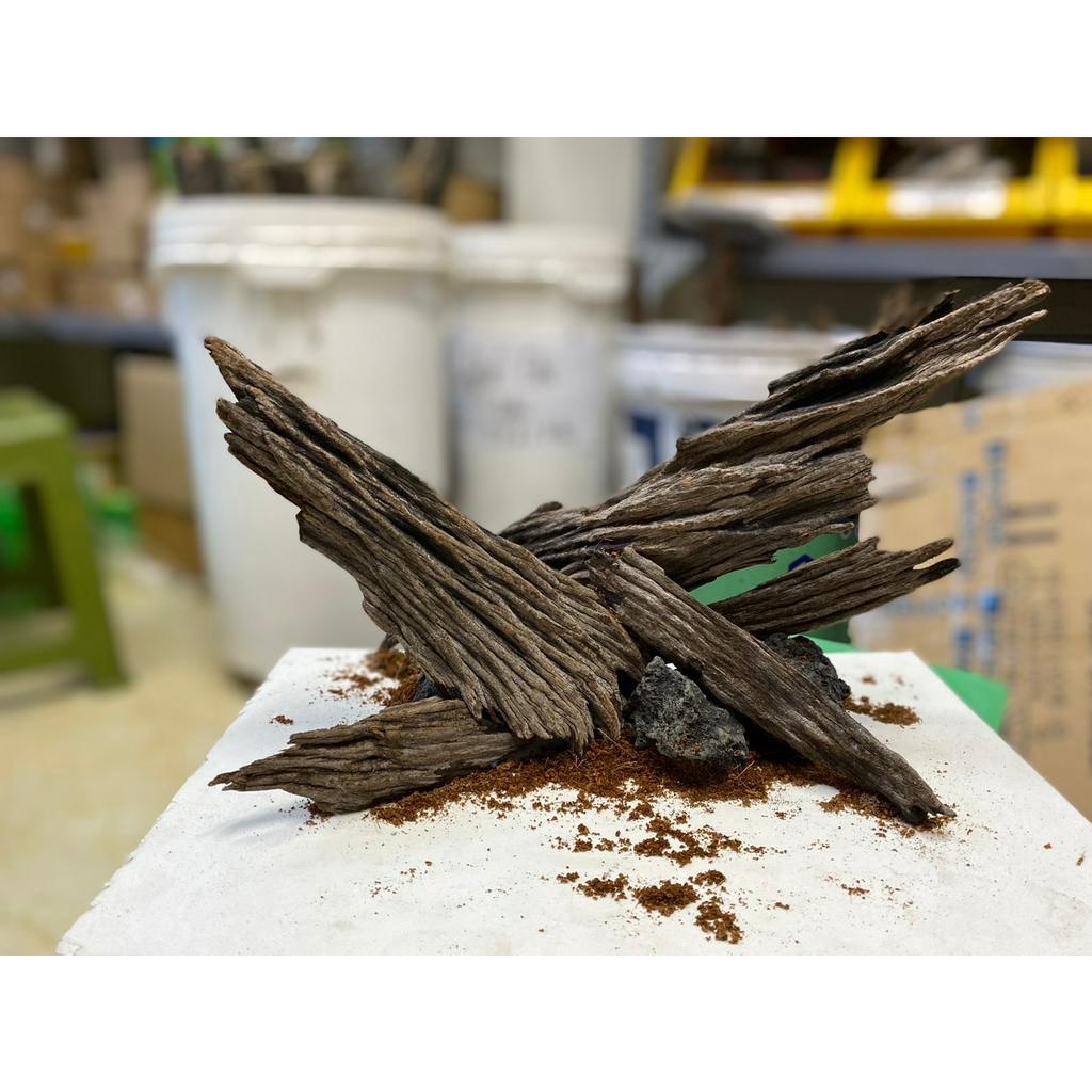 Layout cho bể thủy sinh, bể cá cảnh, trang trí bể cá (hàng sẵn như hình)