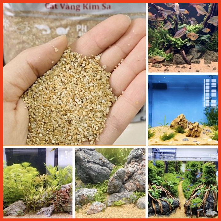 Cát nắng vàng kim sa hạt trung 500gr trải nền trang trí bể cá cảnh thủy sinh