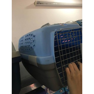 Lồng vận chuyển hàng không cho chó mèo