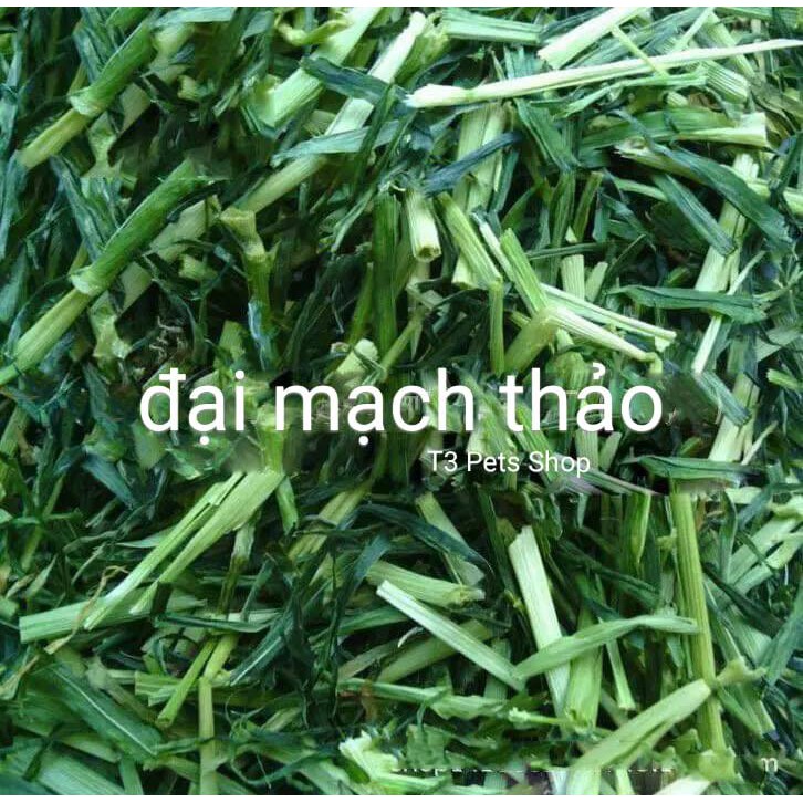 Cỏ khô đại mạch thảo dành cho thỏ, bọ, sóc bắc mỹ