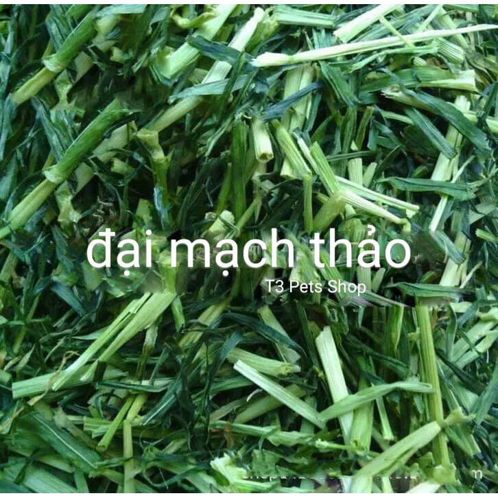 Cỏ khô đại mạch thảo dành cho thỏ, bọ, sóc bắc mỹ (cỏ cực kì xanh)