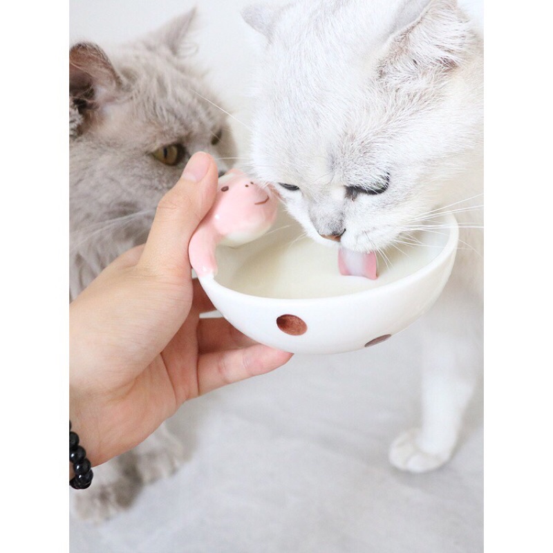 SỮA CHUA TĂNG CƯỜNG MIỄN DỊCH,TIÊU HOÁ CHO CHÓ MÈO MONBAB 50g