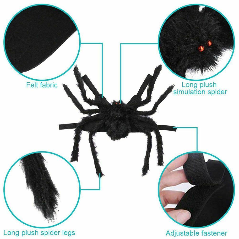 (MớI) Bộ Đồ HóA Trang NhệN LAYOR1 Cho Thú Cưng