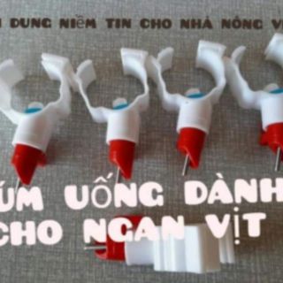 Máng uống cho ngan vịt ,ngan