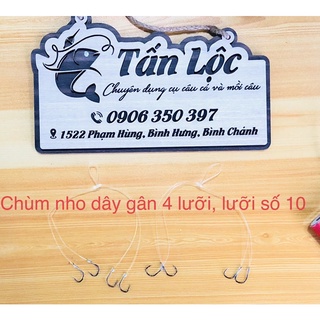 CHÙM NHO CÂU CÁ BUỘC SẴN