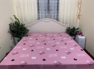 Ga chống thấm cotton violet . size 2m*2m2
