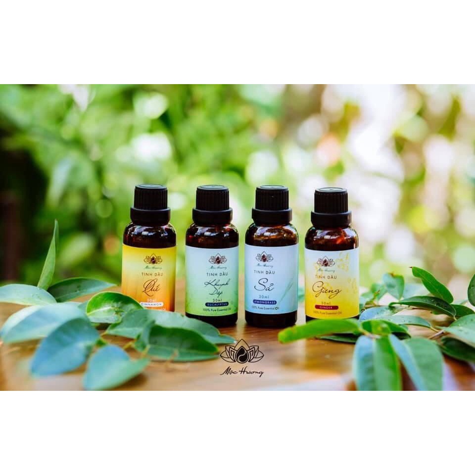 Tinh dầu Mộc Hương 30ML Hương Sả Chanh Quế Khuynh Diệp Gừng - Tinh chất kháng khuẩn 100% từ thiên nhiên