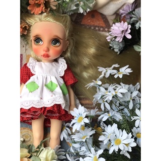 Búp bê animator