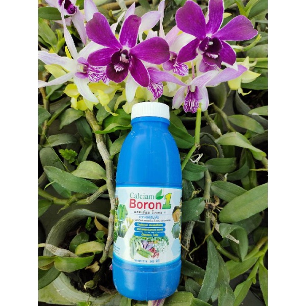 Calciam Boron 1 – Phân Bón Trung Vi Lượng 200ml