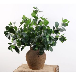 Cây Bạch Đàn Singapore Trang Trí Nhà Cửa-  Cây giả