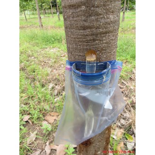 MỦ TRÔM 1kg