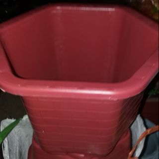 10 chậu lục giác đẹp 30cm x20cm