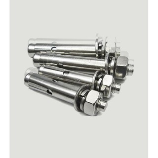 Set 10 Tắc kê nở inox 304 M8