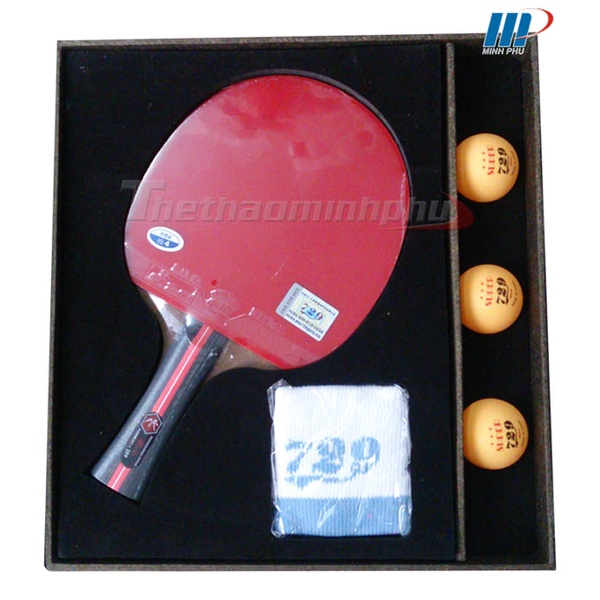 Vợt Bóng Bàn 729-6 Star - Vợt Chuyên Dùng Cho Thi Đấu Chuyên Nghiệp