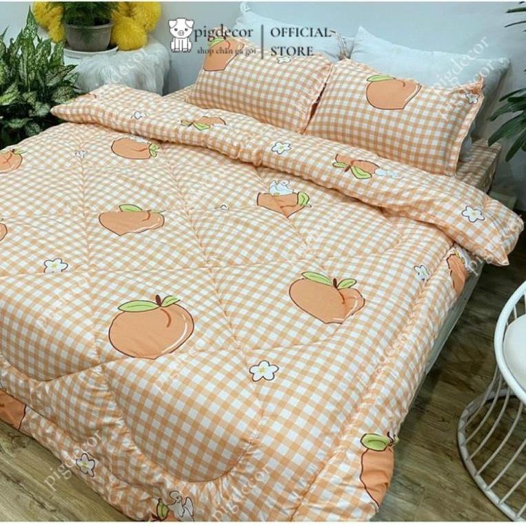 Bộ chăn phao ga gối cotton poly 1m6,1m8,drap giường đẹp