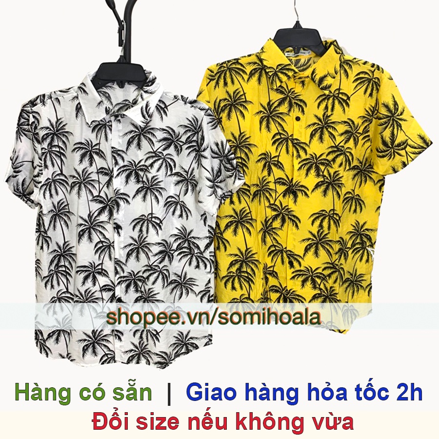 Áo sơ mi cây dừa đi biển theo nhóm, gia đình... chất đũi mềm mát
