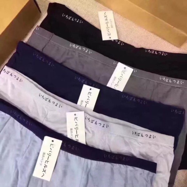 Hộp 5 Quần sịp cotton vải siêu mát co giãn 4 chiều